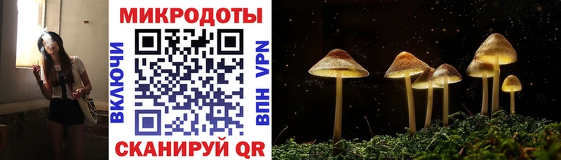 где продают   Родники  Галлюциногенные грибы мицелий 